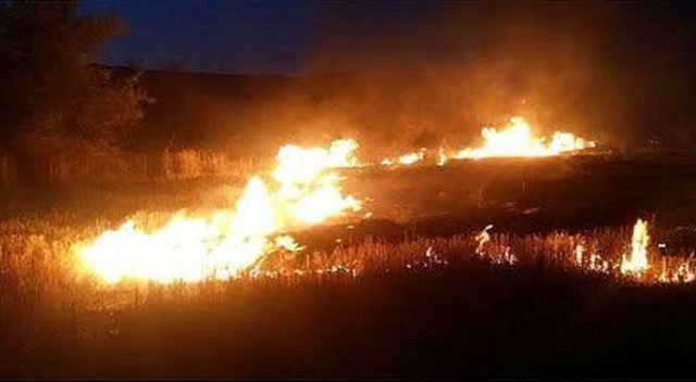 ۱۰ سال حبس در انتظار آتش زنندگان جنگلها و مراتع ۱۰ سال حبس در انتظار آتش زنندگان جنگلها و مراتع
