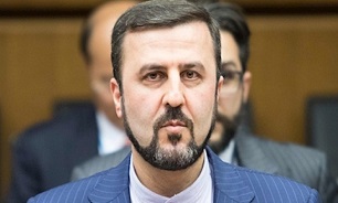 غریب‌آبادی: هر درخواست آژانس را آن هم بر مبنای ادعاهای واهی دشمنان اجابت نمی‌کنیم