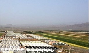 افزایش ۳۵ هزار هکتاری شهرک‌های کشاورزی در دو سال اخیر