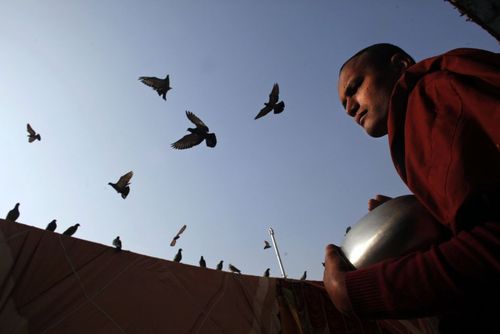 گزارش تصویری 