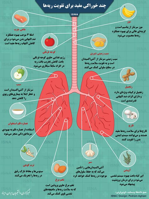 ۱۲ خوردنی مفید برای تقویت ریه