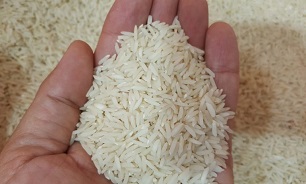 حد مجاز آرسنیک در برنج و کادمیوم در گندم تصویب شد