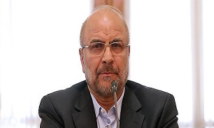 رییس مجلس: نیازمند ارتباط چهره به چهره با مردم هستیم