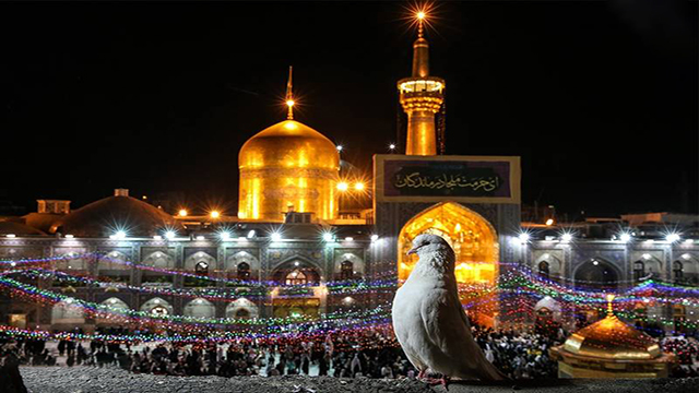 حرم در انتظار روز میلاد امام رضا(ع)