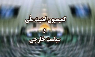 روایت عمویی از جلسه کمیسیون امنیت ملی مجلس با وزیر اطلاعات درباره حادثه نطنز