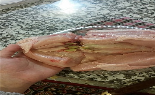 ماجرای مرغ‌های عفونی/ چگونه از سلامت مرغ مطمئن شویم + عکس