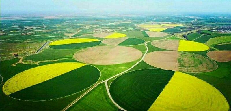 تصاویری کم نظیر از دشت مغان
