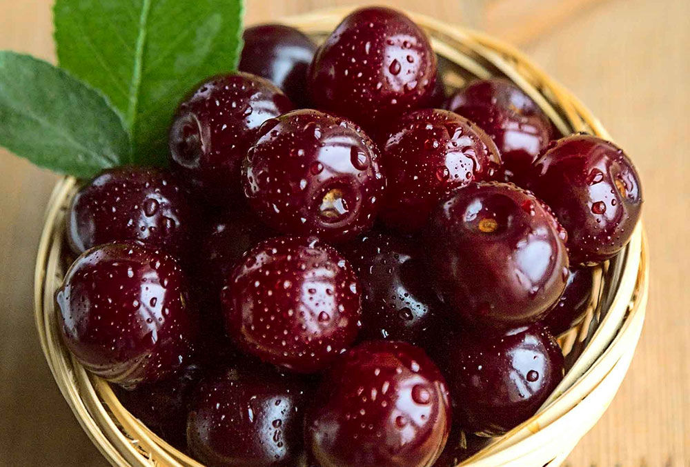 طبع میوه آلبالو گرم است یا سرد؟ + خواص میوه