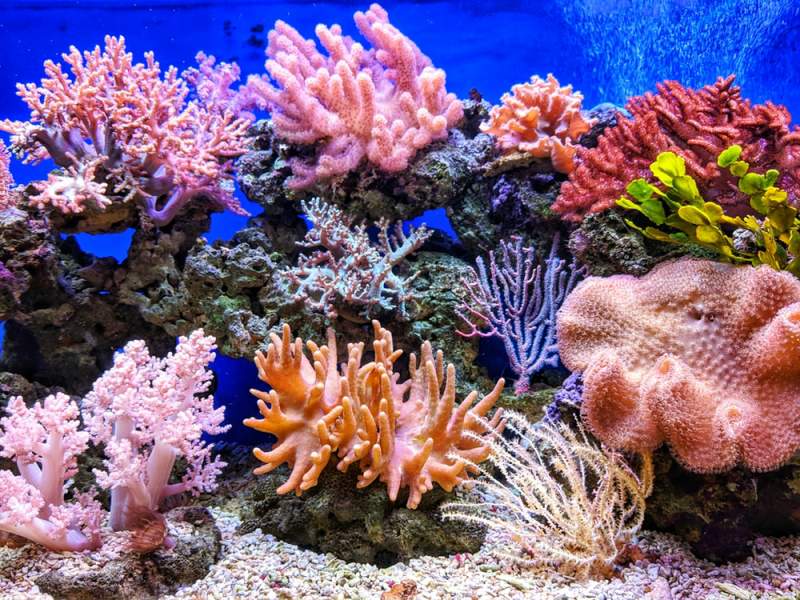 احیای میکروب‌های ۱۰۰ هزارساله