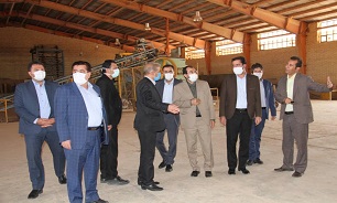 بازگشت به چرخه تولید و اشتغال زایی ۱۶۳ نفر با پیگیری ستاد اقتصاد مقاومتی استان ایلام
