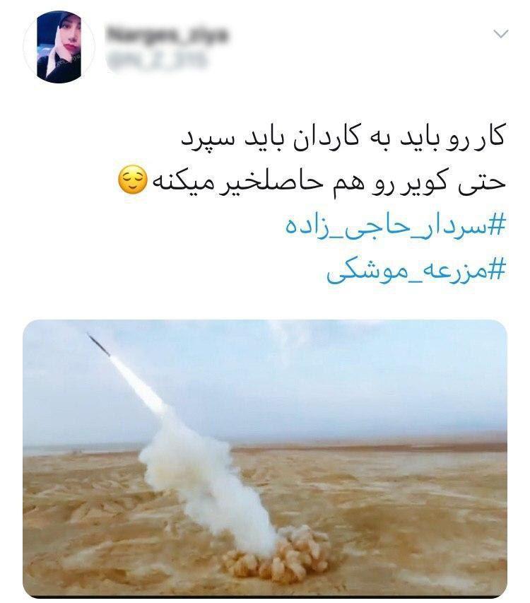 فضای مجازی در تسخیر «مزرعه موشکی» فضای مجازی در تسخیر «مزرعه موشکی»