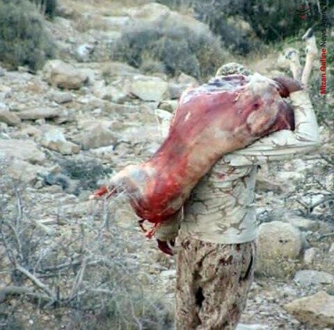 پاتوق متخلفان شکار و صید در فضای مجازی خصوصی شد! پاتوق متخلفان شکار و صید در فضای مجازی خصوصی شد!