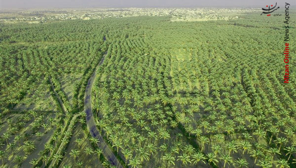 دانلود جدیدترین و کاملترین نقشه بوشهر با جزئیات کامل+ PDF دانلود جدیدترین و کاملترین نقشه بوشهر با جزئیات کامل+ PDF