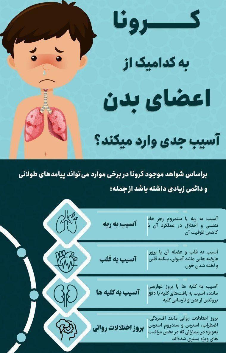 آسیبهای جدی کرونا به کدام یک از اعضای بدن است؟ + اینفوگرافیک آسیبهای جدی کرونا به کدام یک از اعضای بدن است؟ + اینفوگرافیک