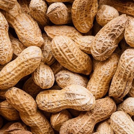 طبع میوه بادام زمینی گرم است یا سرد؟ طبع میوه بادام زمینی گرم است یا سرد؟