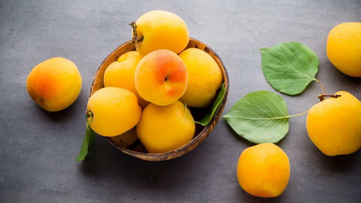 طبع زردآلو گرم است یا سرد + خواص میوه