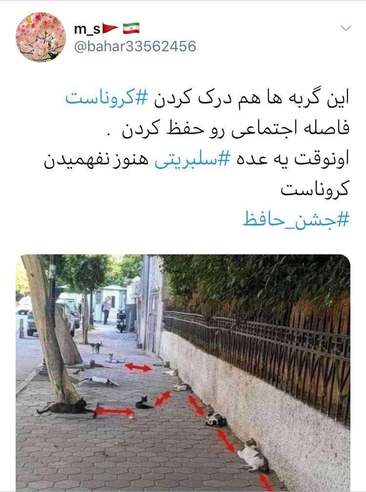 «سلبریتیها» نمیگیرند؟ «سلبریتیها» نمیگیرند؟