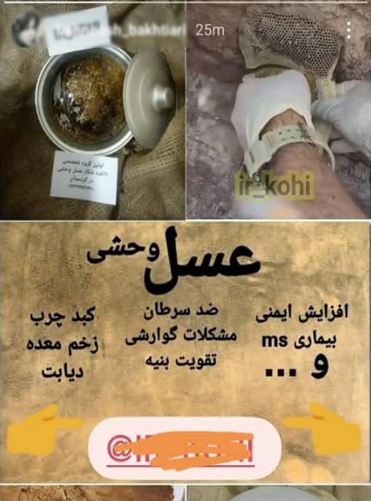 جولان شکارچیان عسل در فضای مجازی