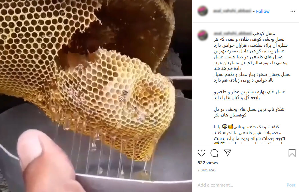 جولان شکارچیان عسل در فضای مجازی