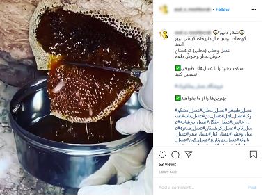 جولان شکارچیان عسل در فضای مجازی