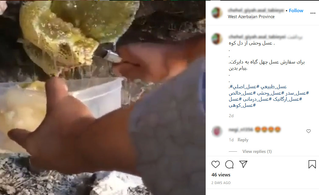 جولان شکارچیان عسل در فضای مجازی