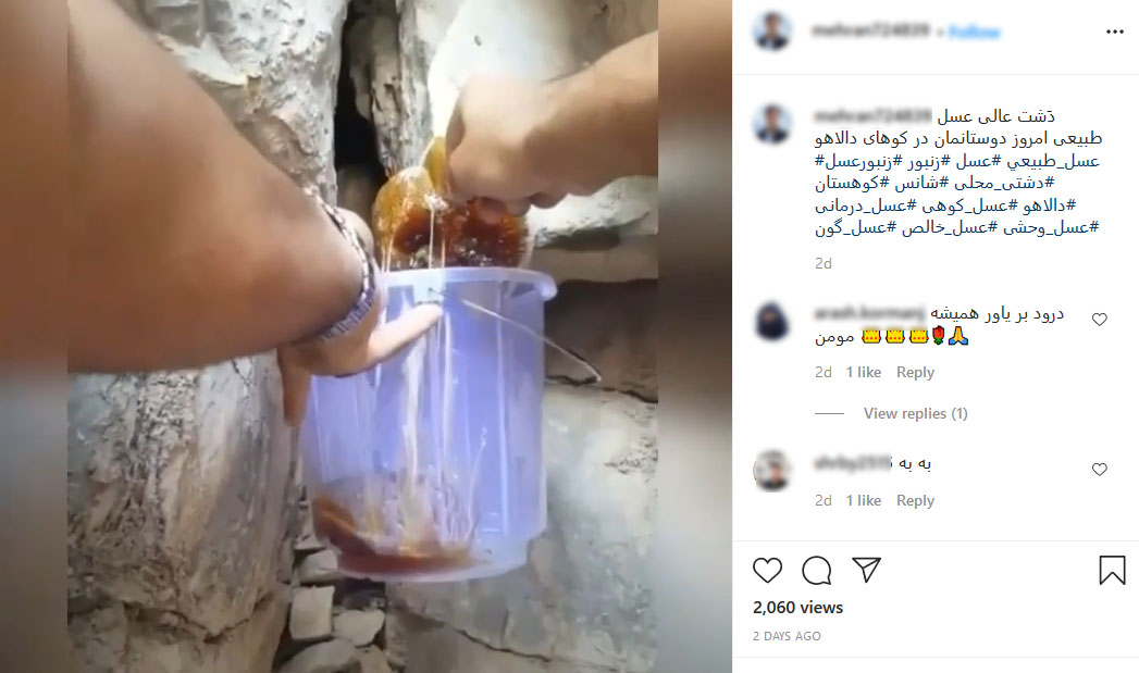 جولان شکارچیان عسل در فضای مجازی