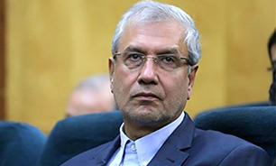 ربیعی: امسال روز پزشک برای همه، مفهوم نزدیک و ملموس‌تری دارد