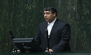 عضو کمیسیون صنایع و معادن مجلس: دولت در زمینه واردات سیاست گذاری کند/واردات کالای لوکس منابع ارزی را نابود می کند