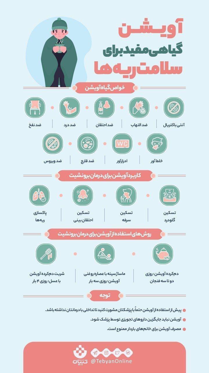 آویشن گیاهی برای سلامت ریهها /// از خواص جادویی آویشن برای ریه چه میدانید؟ ///فواید آویشن برای در امان ماندن ریه از بیماری آویشن گیاهی برای سلامت ریهها /// از خواص جادویی آویشن برای ریه چه میدانید؟ ///فواید آویشن برای در امان ماندن ریه از بیماری