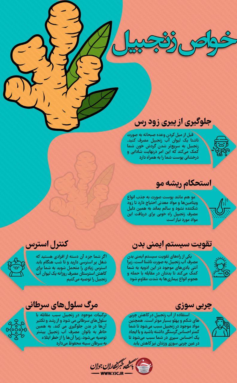 خواص زنجبیل؛از چربی سوزی تا کنترل استرس خواص زنجبیل؛از چربی سوزی تا کنترل استرس