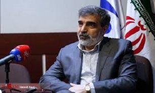 کمالوندی: توافق ایران و آژانس، نتیجه‌ای برد-برد برای دو طرف است