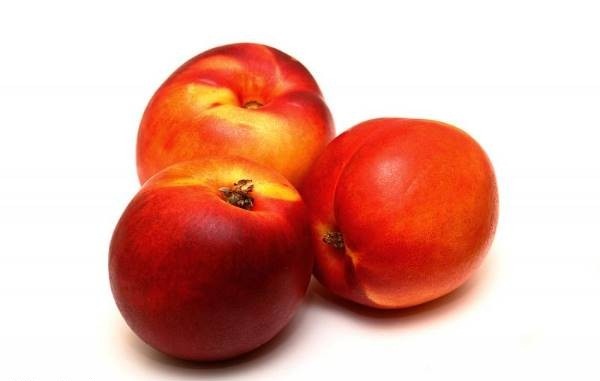 طبع میوه شلیل سرد است یا گرم؟