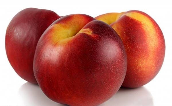 طبع میوه شلیل سرد است یا گرم؟