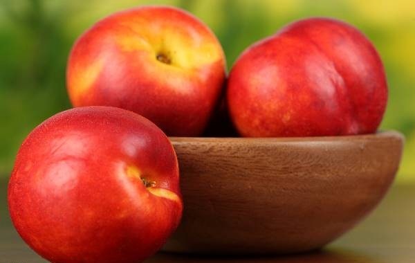 طبع میوه شلیل سرد است یا گرم؟