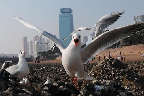 گزارش تصویری گزارش تصویری