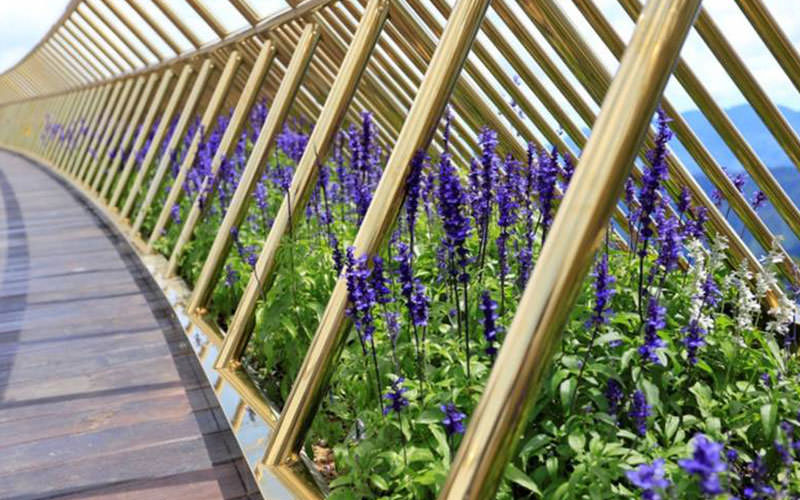 دو دست سنگی؛ حافظ «پل طلایی» دو دست سنگی؛ حافظ «پل طلایی»