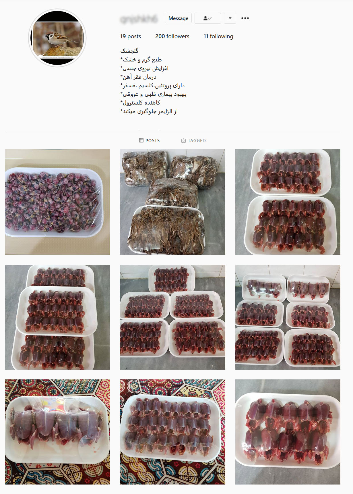 سفارش گوشت گنجشک و سار در فضای مجازی سفارش گوشت گنجشک و سار در فضای مجازی