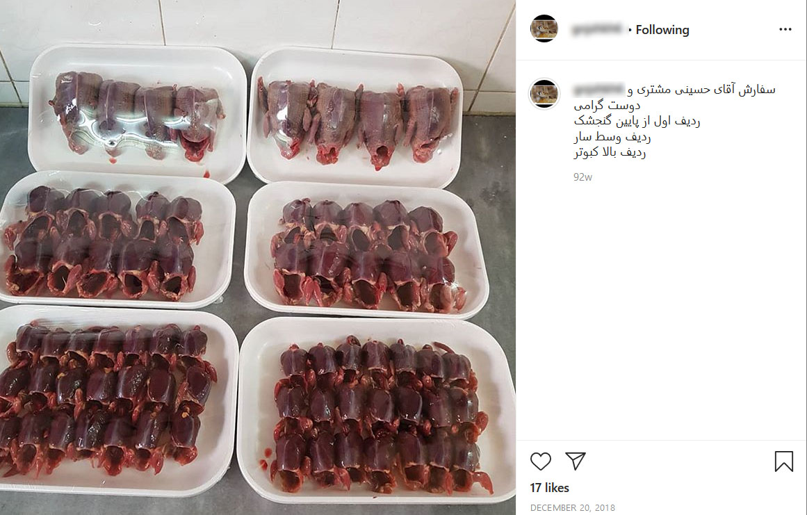 سفارش گوشت گنجشک و سار در فضای مجازی سفارش گوشت گنجشک و سار در فضای مجازی