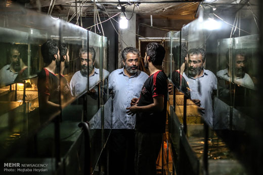 اويس؛ رزمنده ديروز، كارآفرين امروز + تصاویر