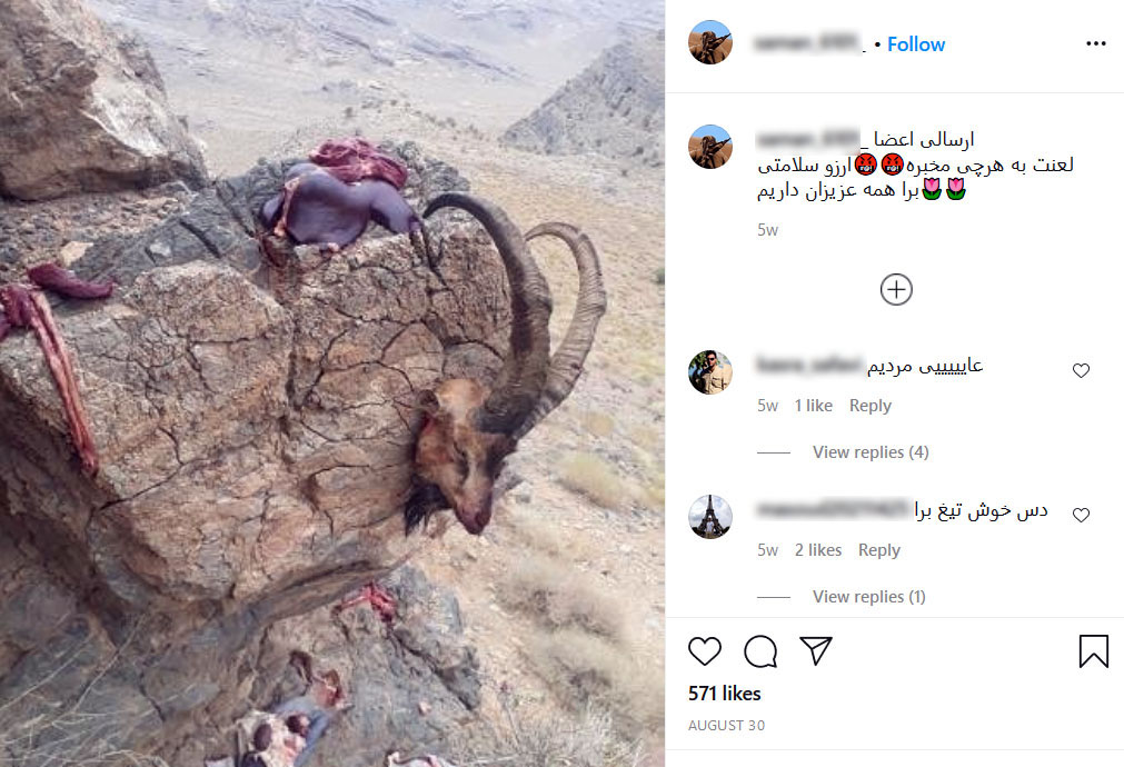 شکار غیرمجاز