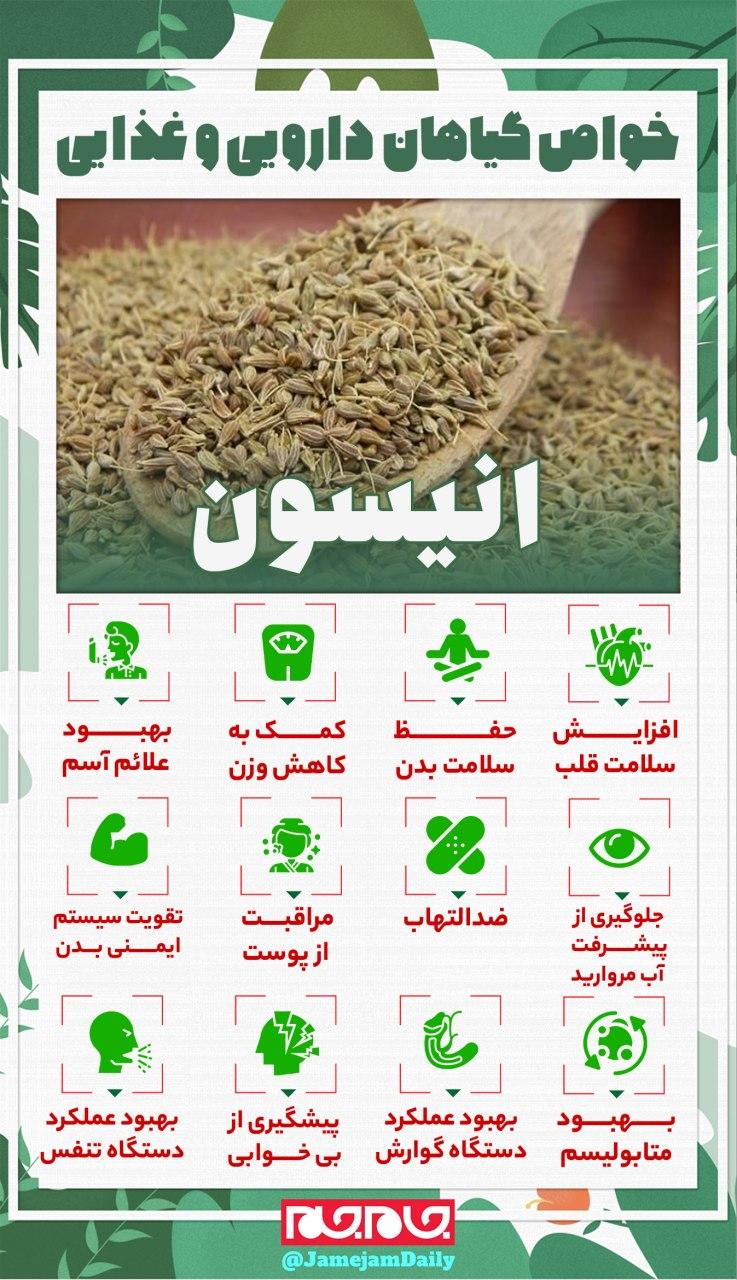 19 خاصیت شگفت انگیز بادیان رومی برای سلامتی 19 خاصیت شگفت انگیز بادیان رومی برای سلامتی