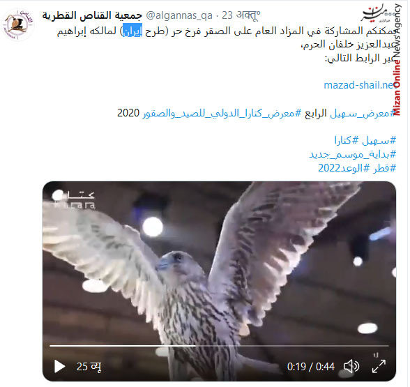 قطر قطر