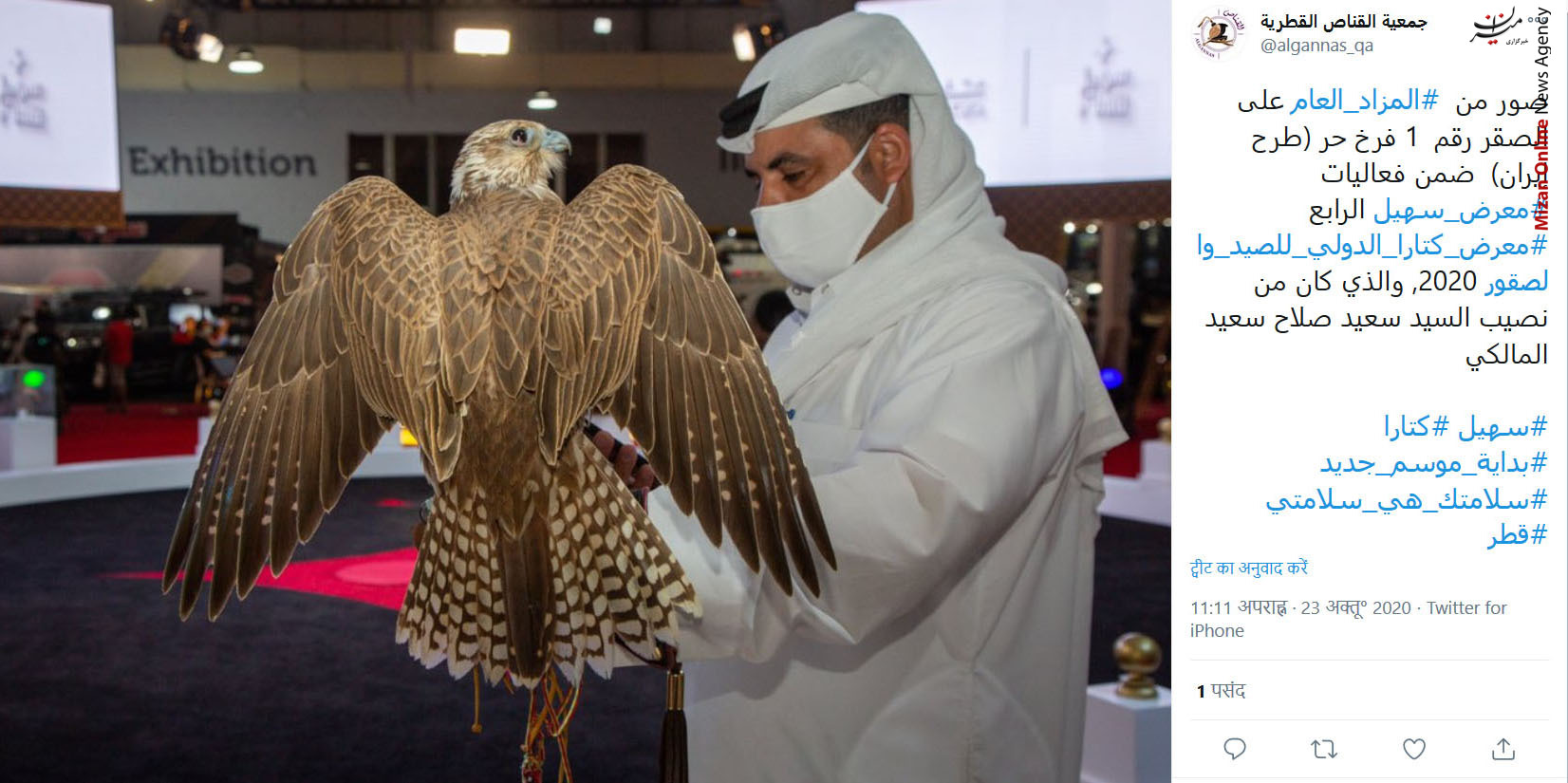 قطر قطر