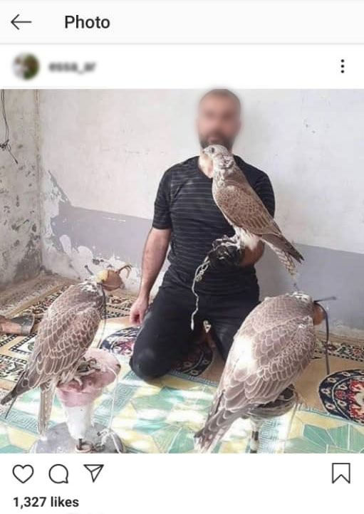 قطر قطر