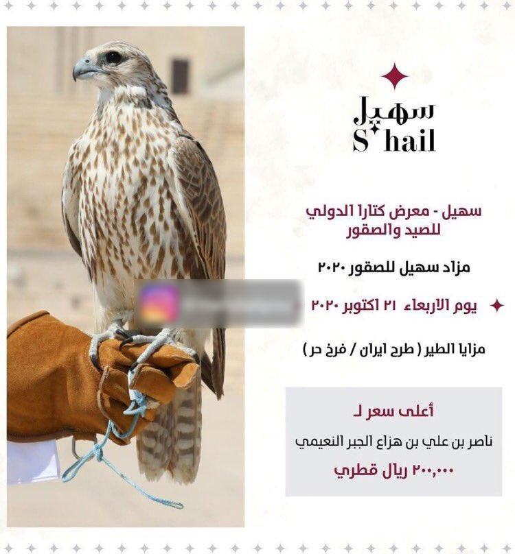 قطر قطر