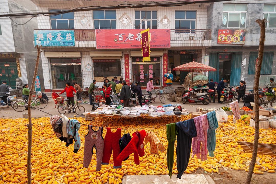 شهری مملول از ذرت+تصویر / خیابان‌های ذرتی +تصویر