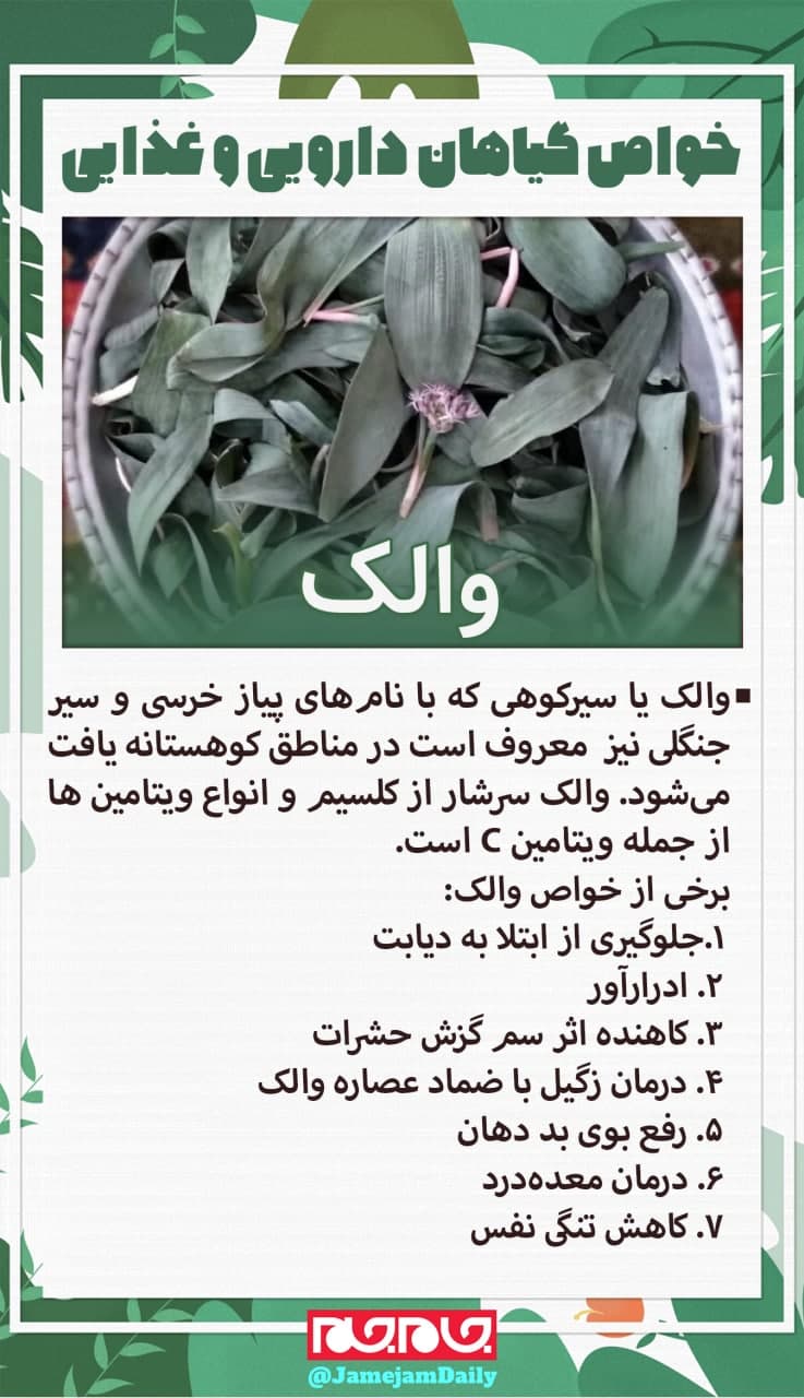 خواص گیاهی دارویی و غذایی «والک» خواص گیاهی دارویی و غذایی «والک»