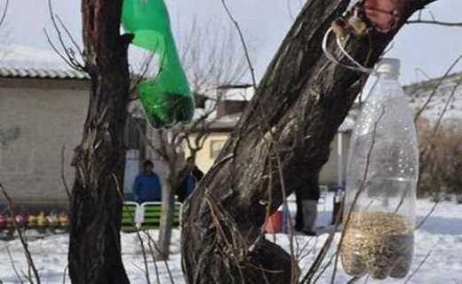 کارگری که هر روز، روزی اش را با پرندگان تقسیم می کند کارگری که هر روز، روزی اش را با پرندگان تقسیم می کند