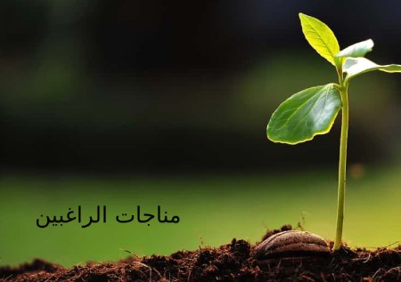متن کامل مناجات الراغبین + صوت و ترجمه متن کامل مناجات الراغبین + صوت و ترجمه