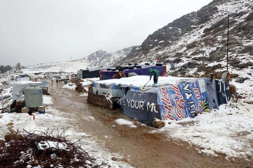 گزارش تصویری 